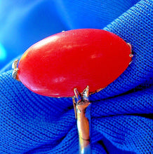 Load image into Gallery viewer, Antique Red Mediterranean Coral Engagement Ring Victorian 18k Gold Solitaire