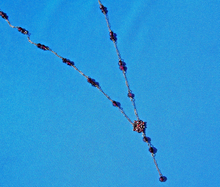 Load image into Gallery viewer, Antique Garnet Deco 10k Gold Necklace Unique Vintage 18" inch Chain
